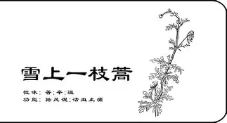 ?a0mBk瞓柴蒿=践蝺??^豢?甭?的简单介绍